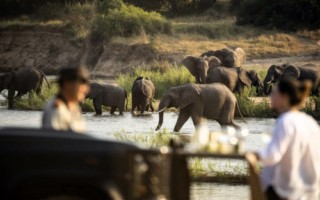 MalaMala Rattray [320x200]